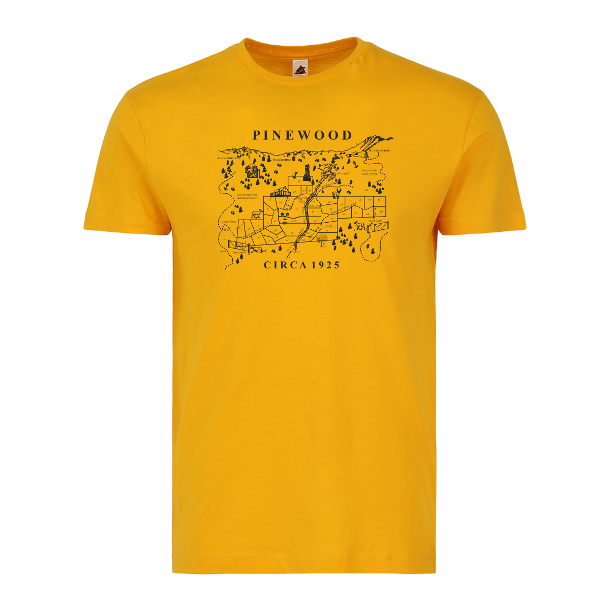 Pinewood 100 Years T-Shirt - Image 5