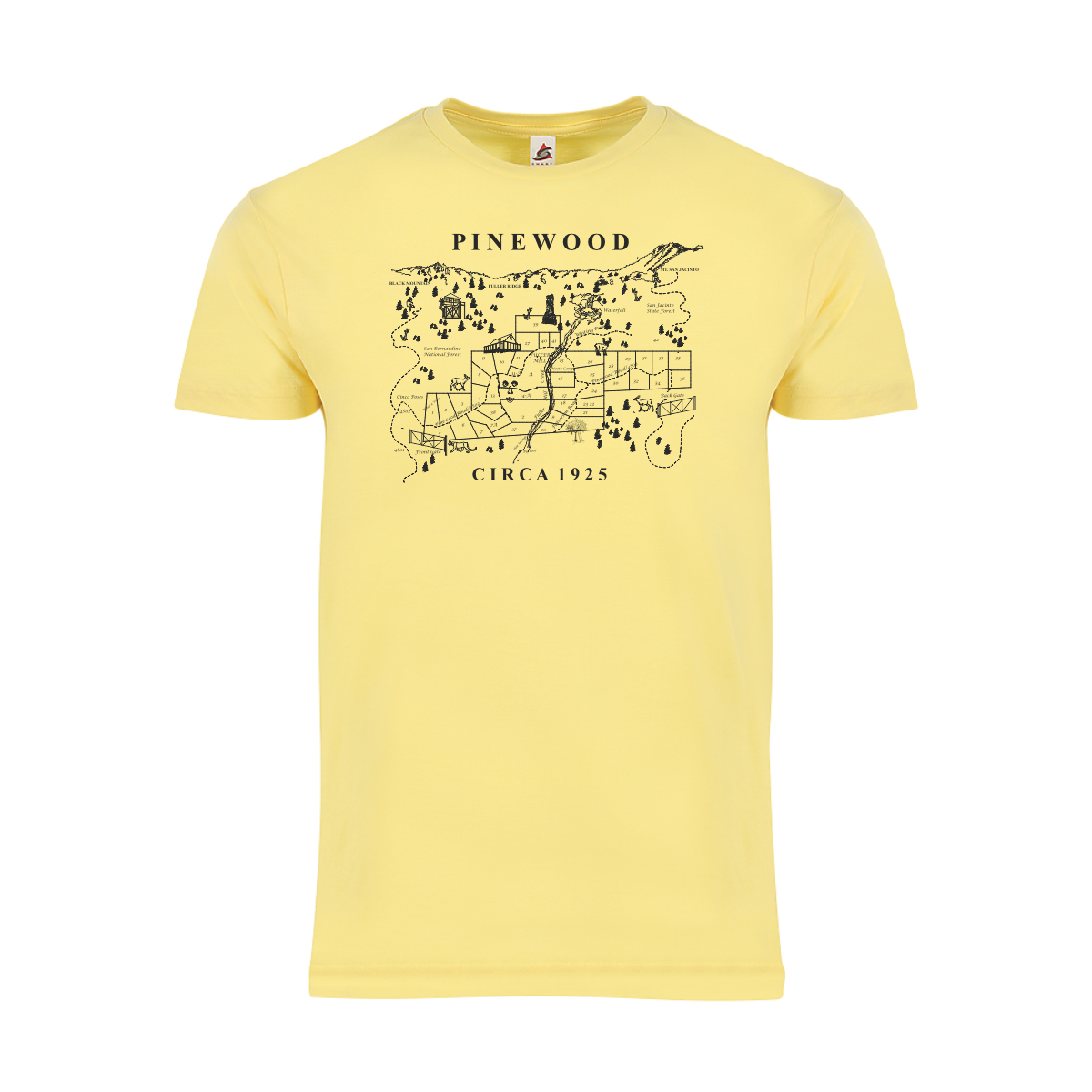 Pinewood 100 Years T-Shirt - Image 3
