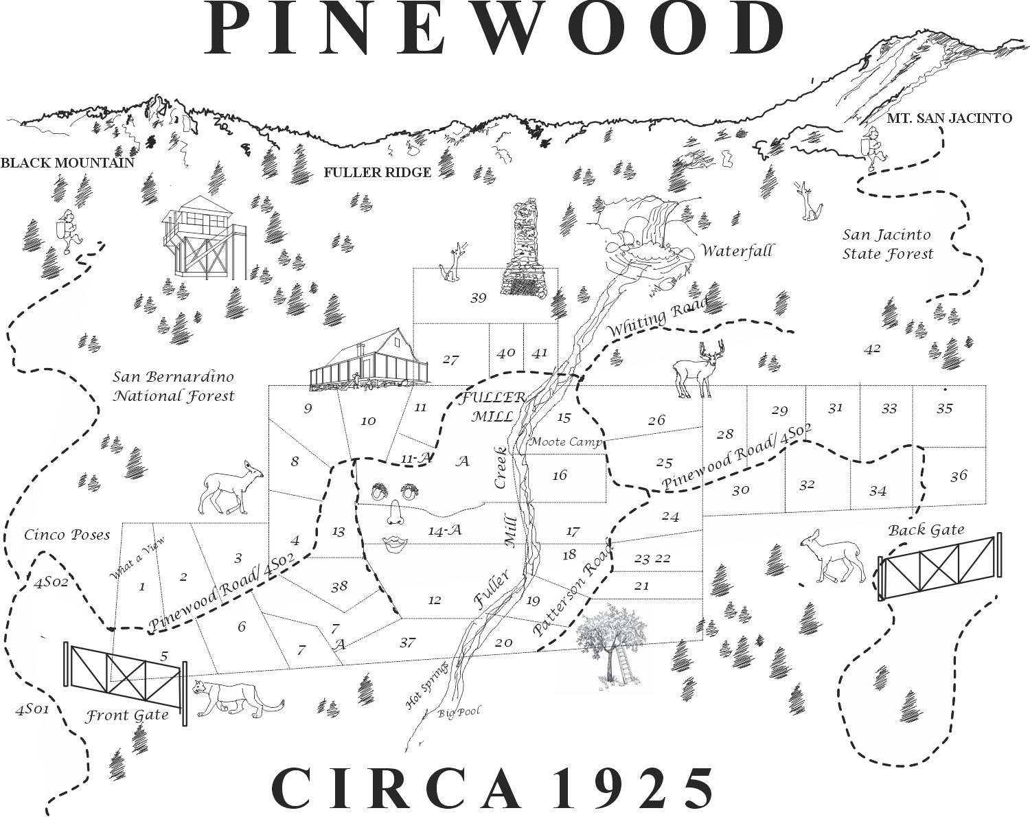 Pinewood 100 Years T-Shirt - Image 6